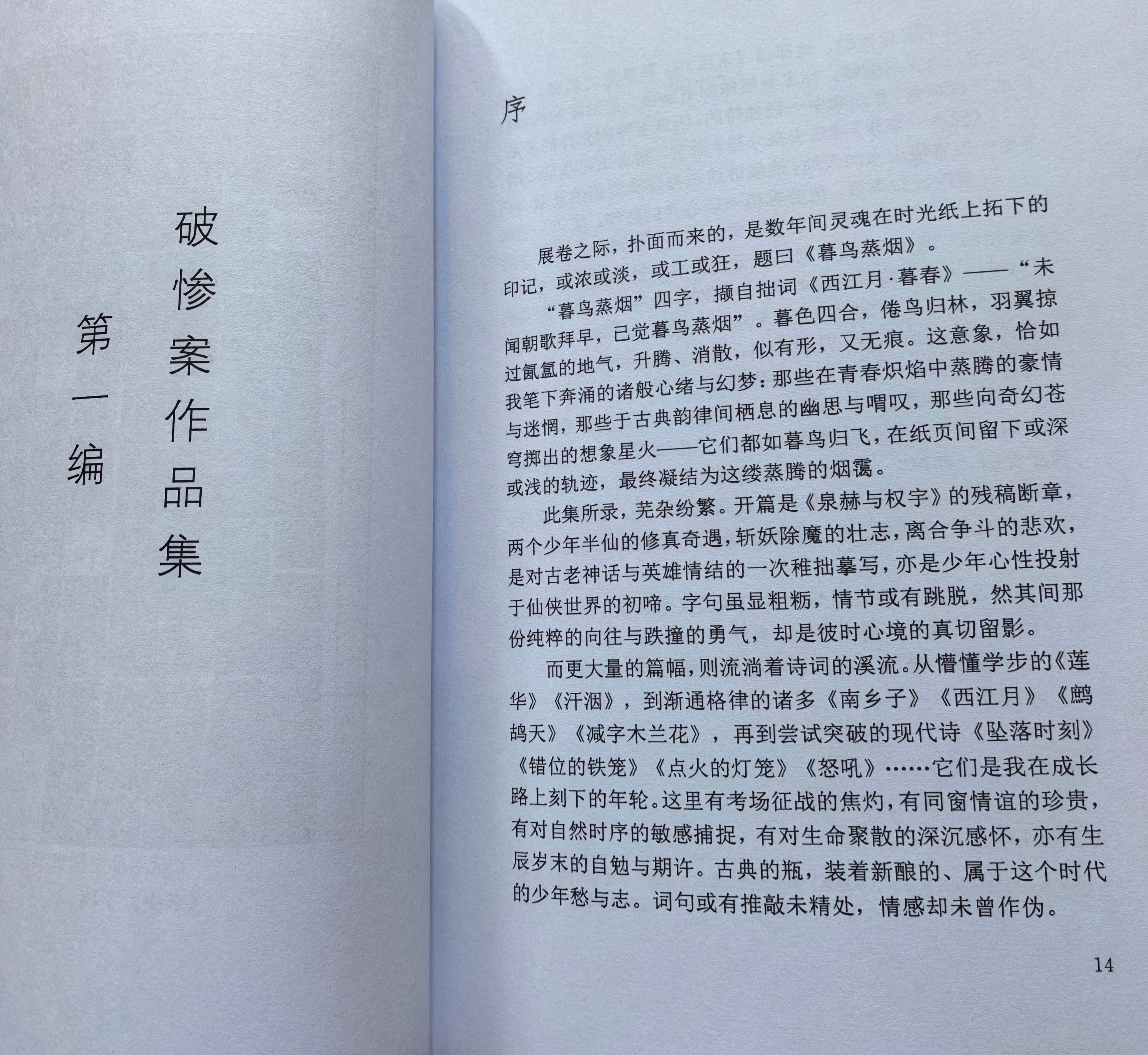 《暮鸟蒸烟》