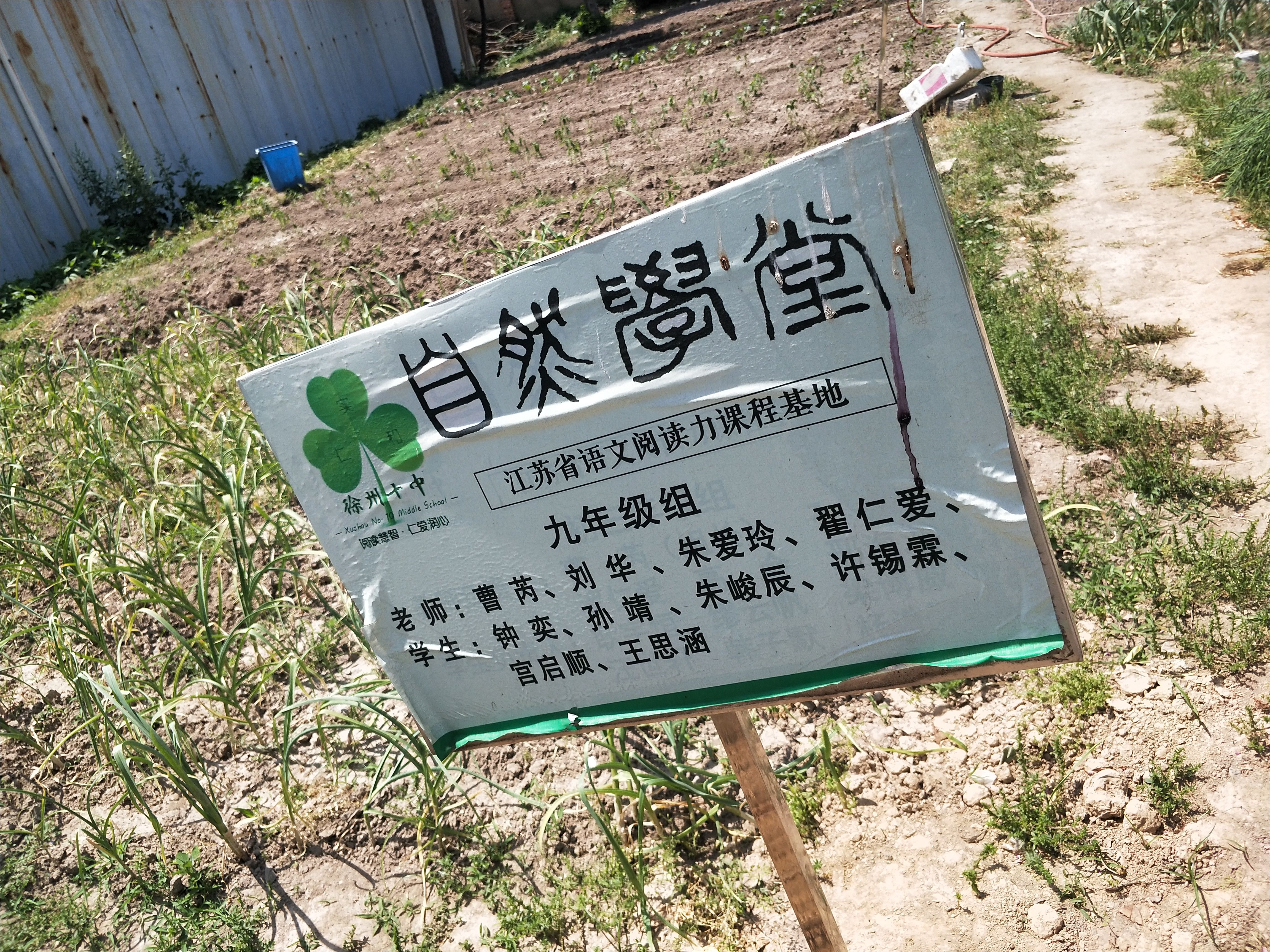 菜地依然,算来栽种已十年